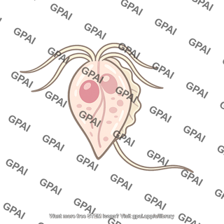 Trichomonas vaginalis