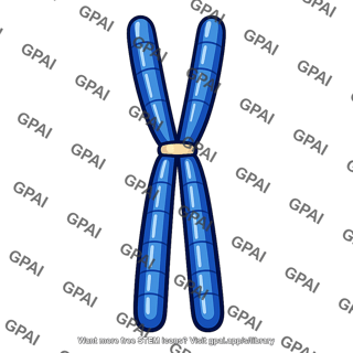 Long chromosome