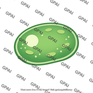 Photosynthetic microorganism