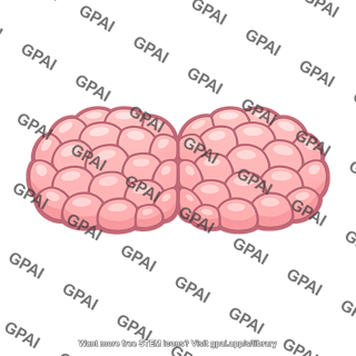 Mesoderm mass