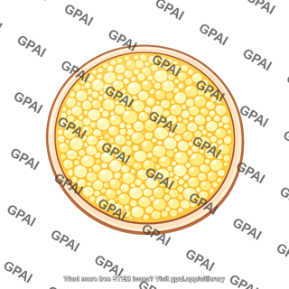 Yolk filled cell