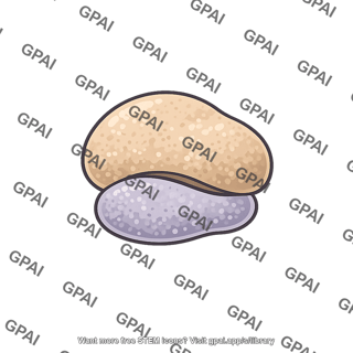 Free ribosome