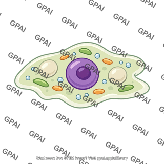 Protist cell