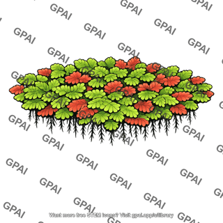 Azolla fern