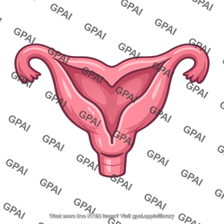 Bicornuate mammalian uterus
