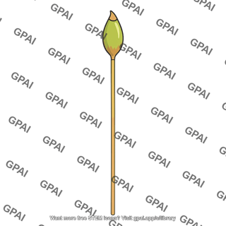 Seta bryophyte