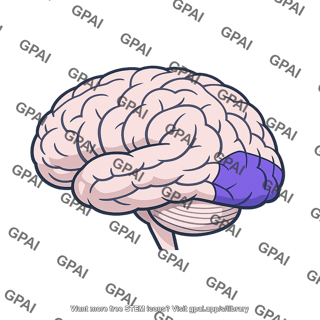 Visual cortex