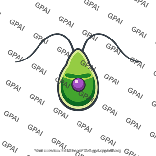 Gamete biflagellated
