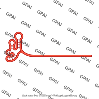 Guide rna