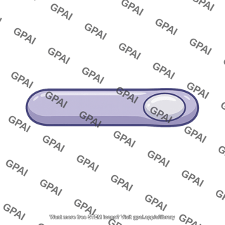 Clostridium
