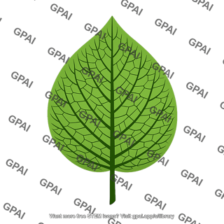 Leaf netlike veined