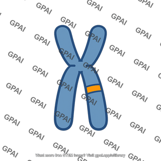 Chromosome with gene locus