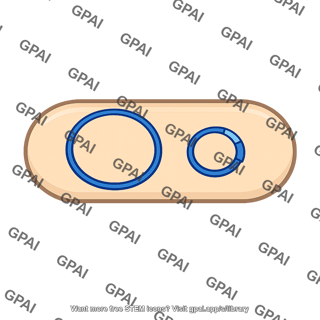 Recombinant bacterium with plasmid