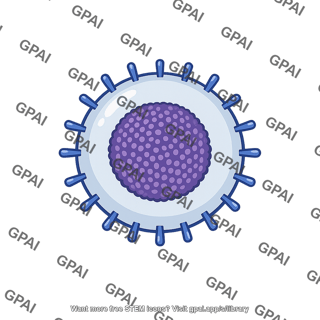 Enveloped virus