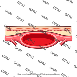 Superficial blood vessel vasodilated