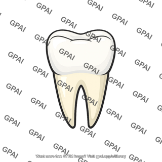 Human tooth