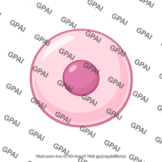 Ventral cell