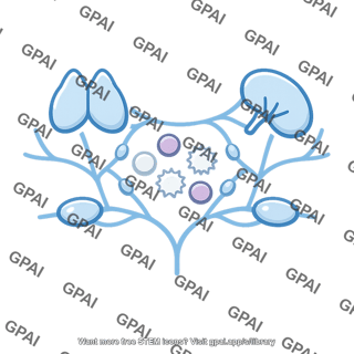 Immune system lymphoid network icon