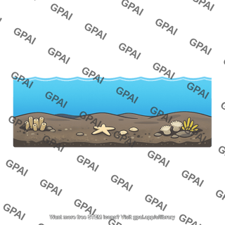 Marine benthic zone