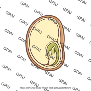 Hybrid seed