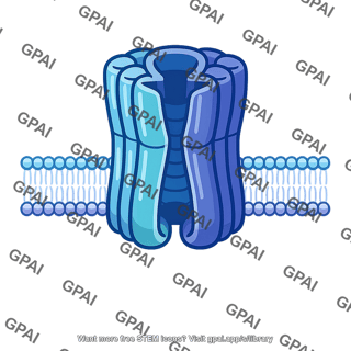 Transmembrane transport protein