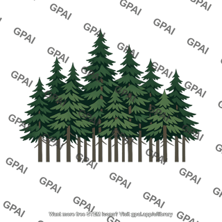 Northern coniferous forest