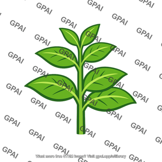 Photosynthetic autotroph