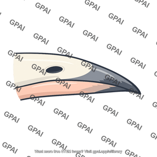 Bird beak
