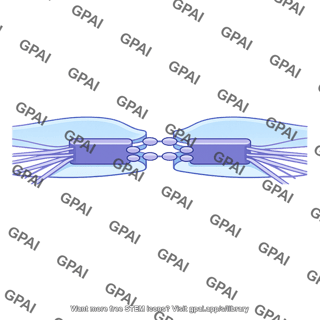 Anchoring junction