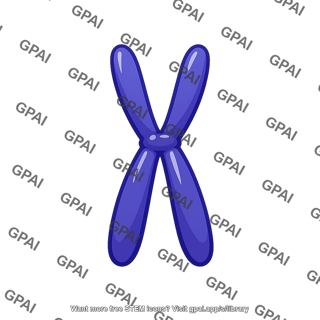 Nuclear chromosome