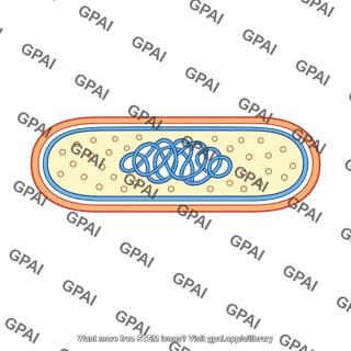 Bacterium