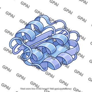 Protein ribbon structure