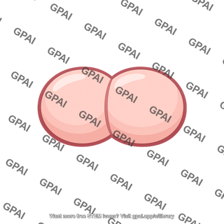 Gonococcus bacterium