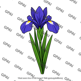 Iris flower
