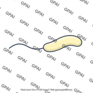 Vibrio cholerae