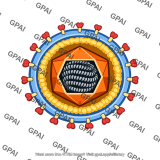 Cytomegalovirus