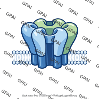 Gaba receptor