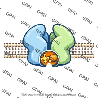 Carrier protein atp driven