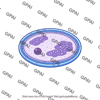 Nucleus membrane enclosed