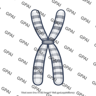 Condensed chromosome