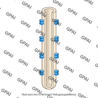 Descending limb of loop of henle with aquaporin channel