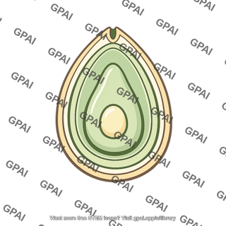 Ovule with megasporangium