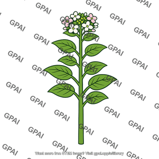 Flowering plant