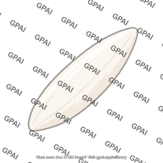 Rice grain