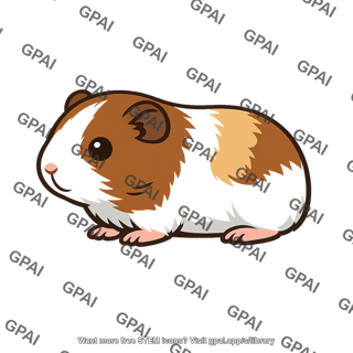 Tricolor guinea pig