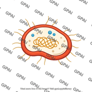 Archaeal cell