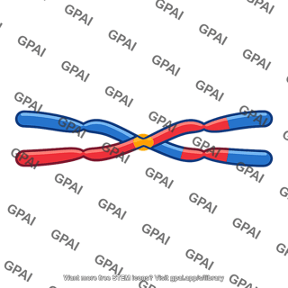 Meiotic recombination