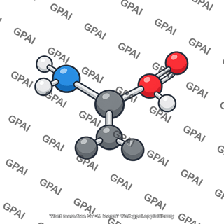 Alanine molecule