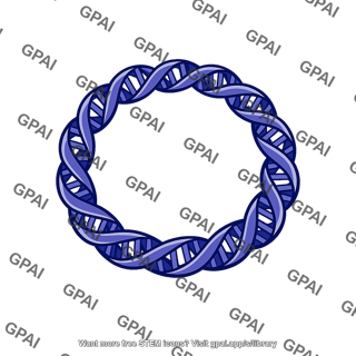 Circular chromosome