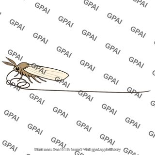 Moth long proboscis